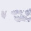 Object Preview