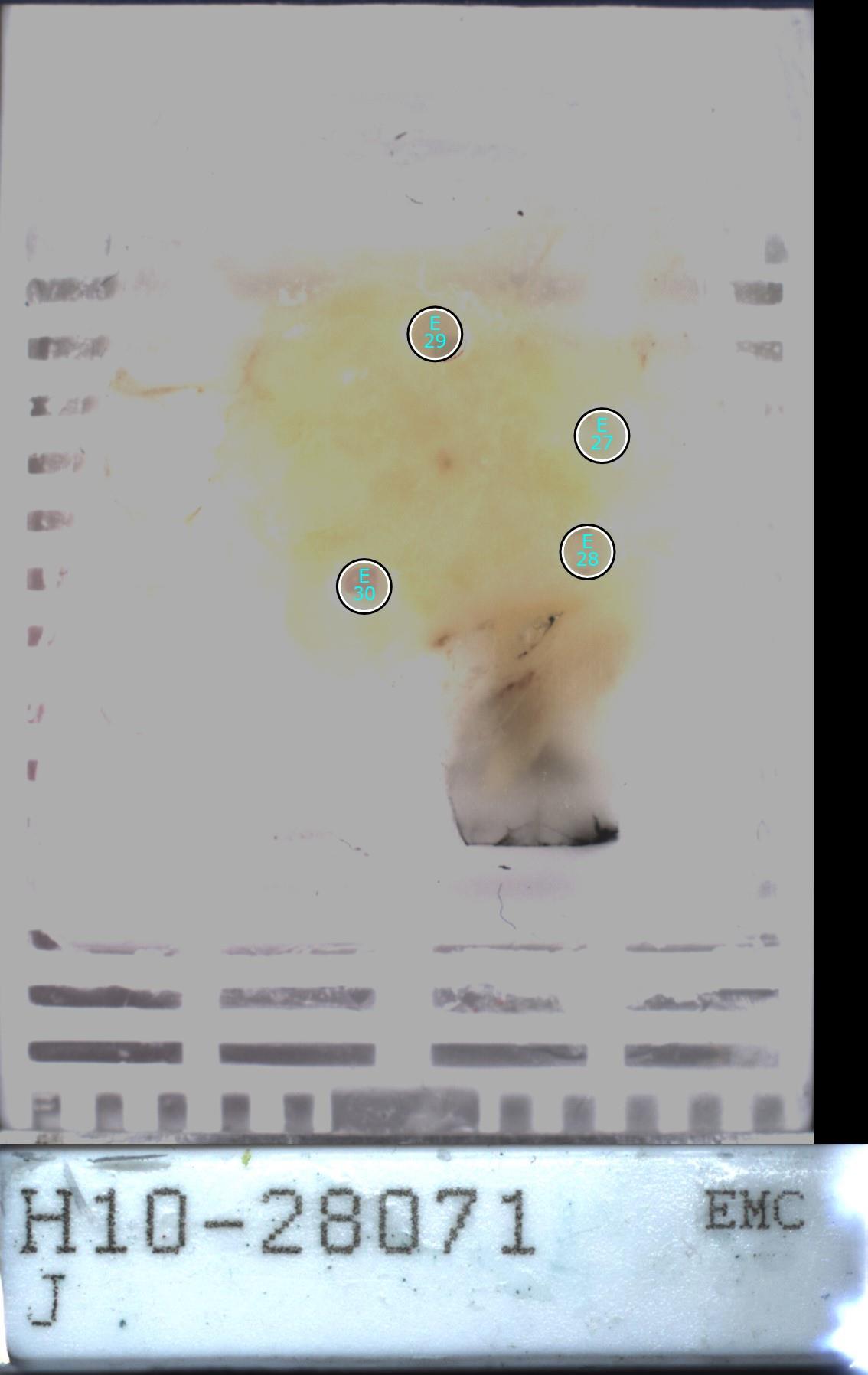 Object Preview