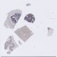 Object Preview