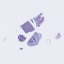 Object Preview