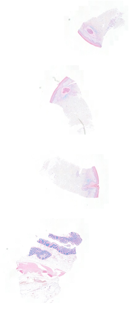 Object Preview