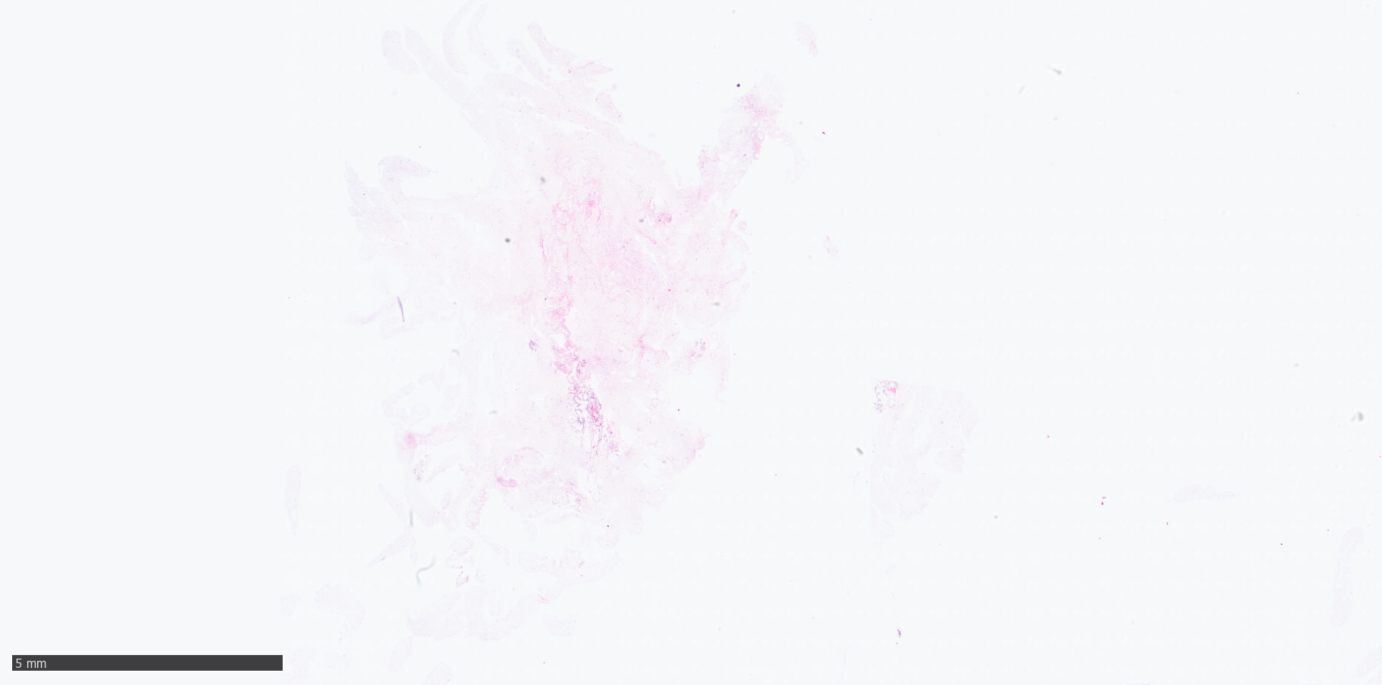 Object Preview