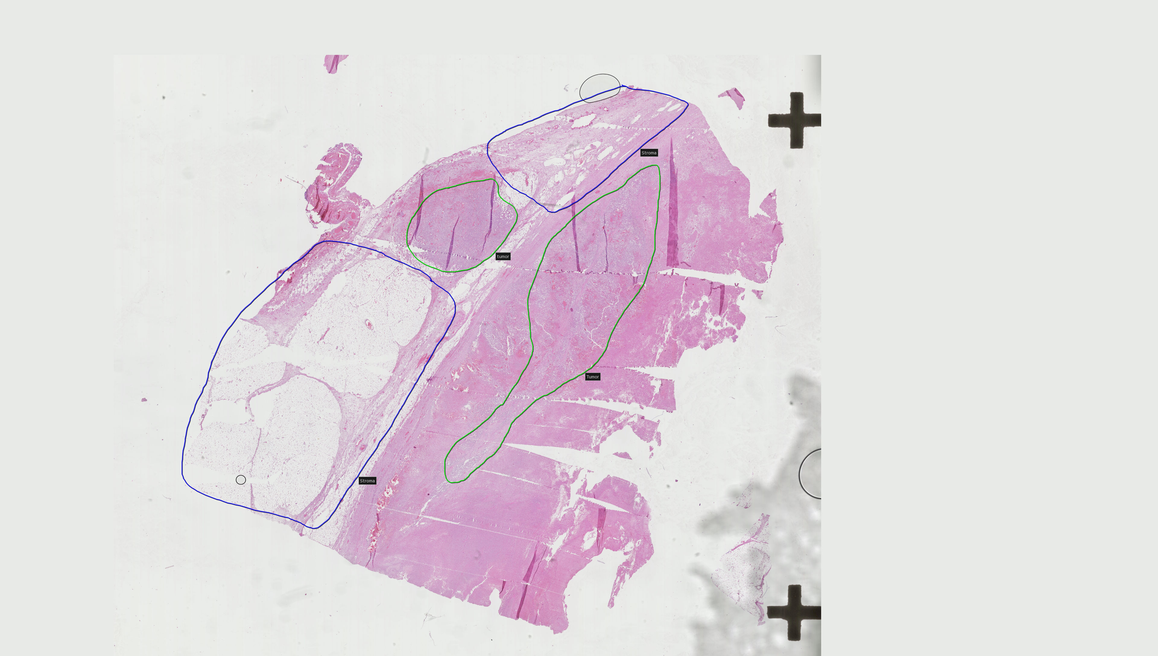 Object Preview