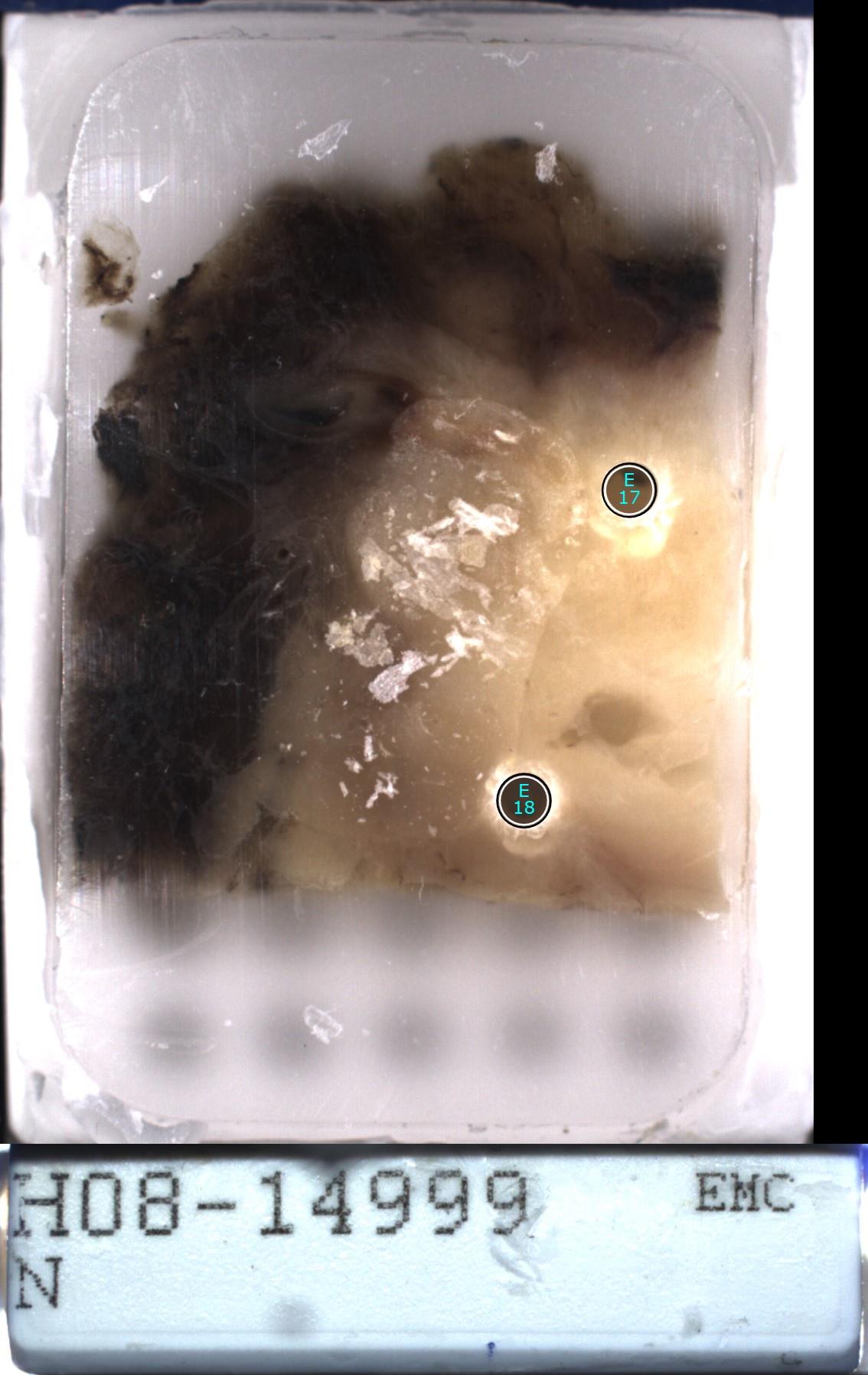 Object Preview