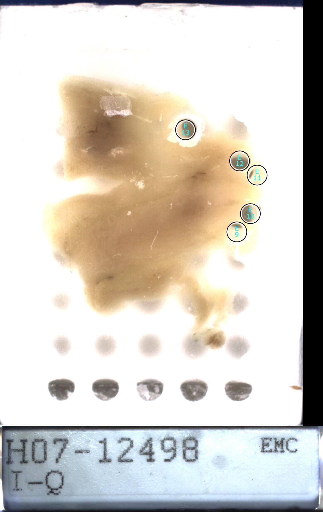 Object Preview