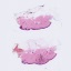 Object Preview
