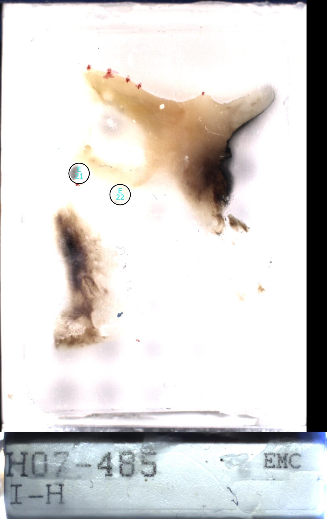 Object Preview
