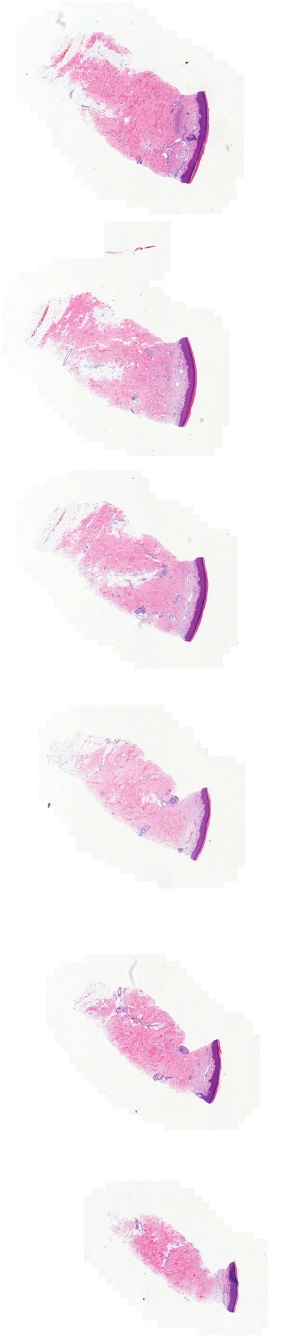 Object Preview