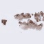 Object Preview