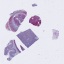 Object Preview