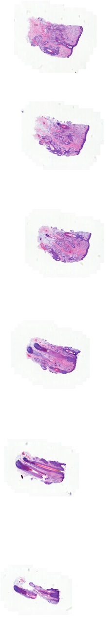 Object Preview