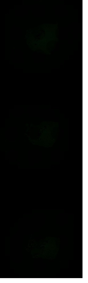 Object Preview