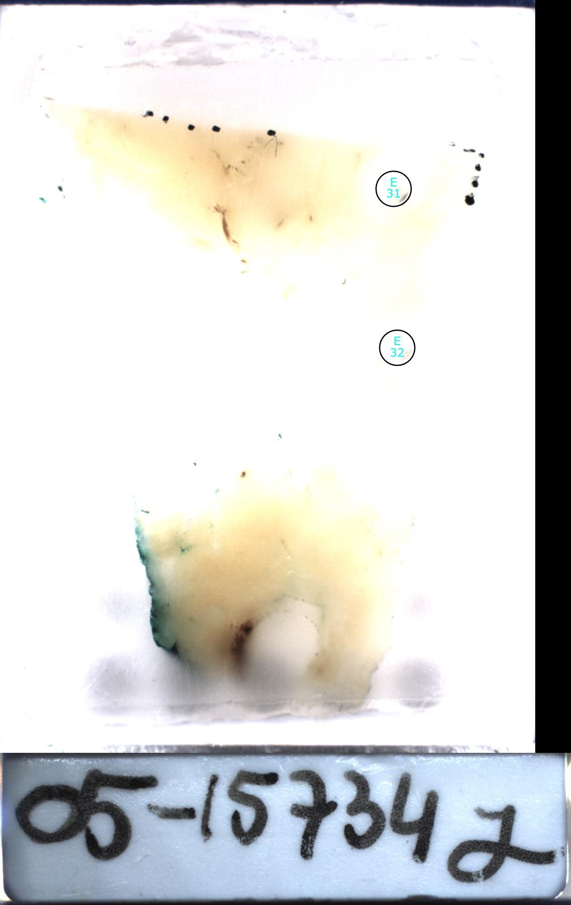 Object Preview