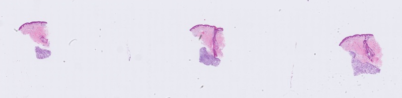 Object Preview