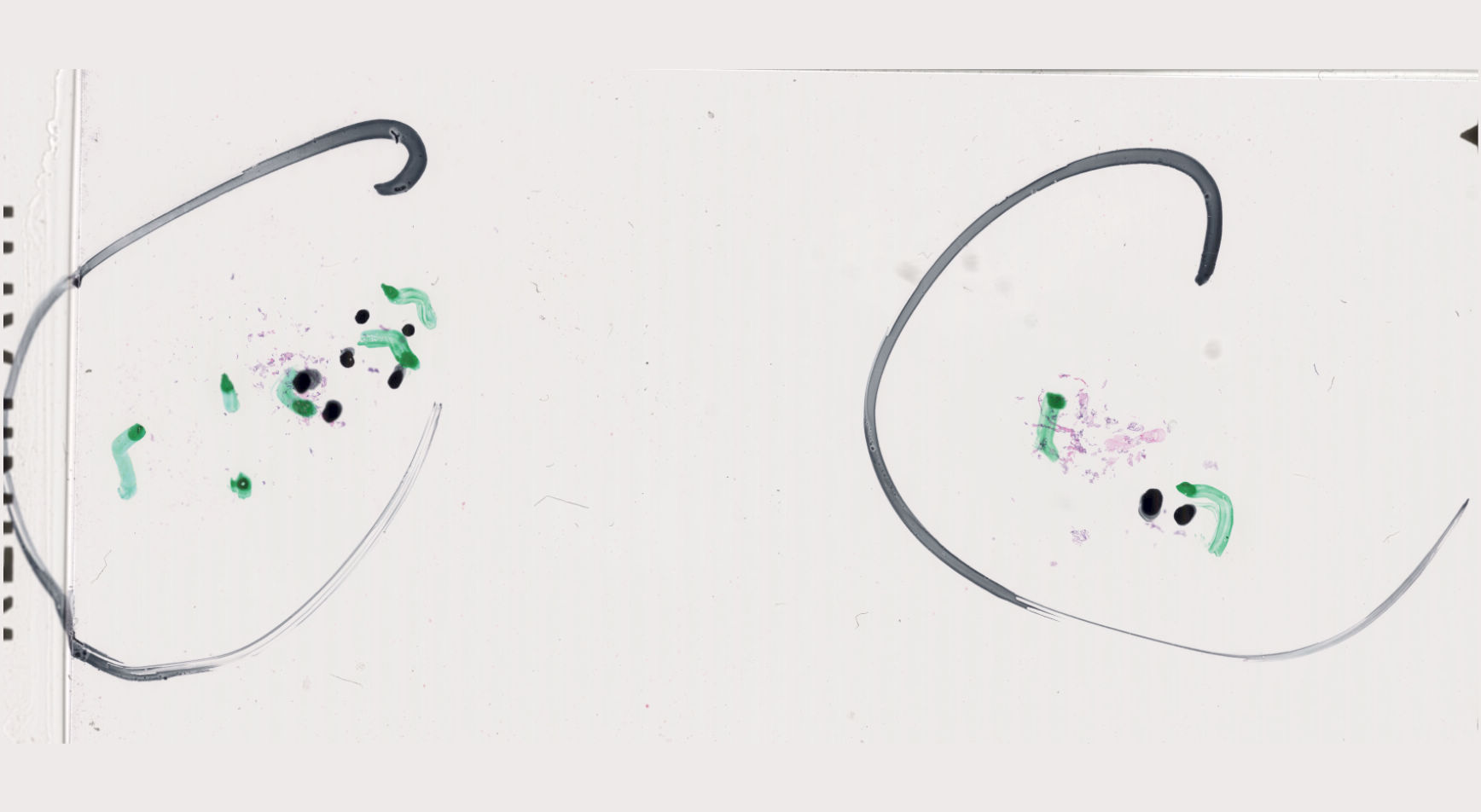 Object Preview