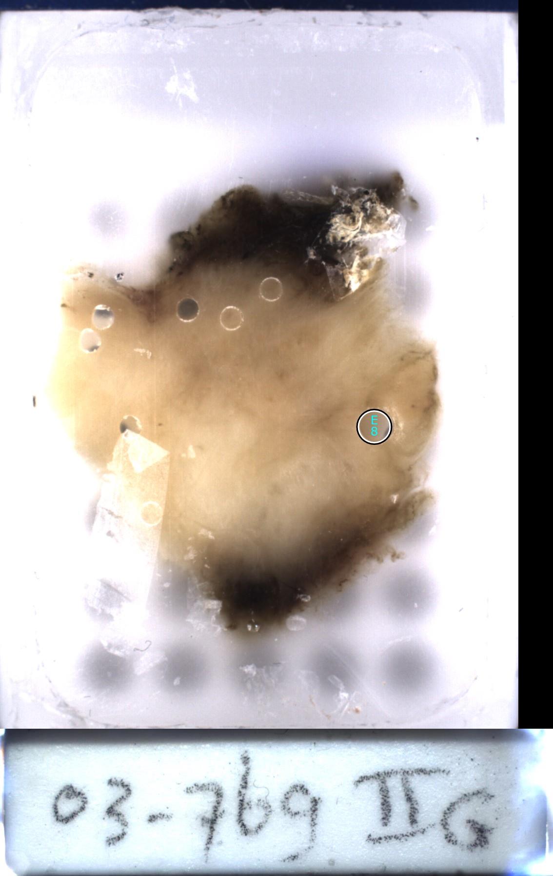 Object Preview