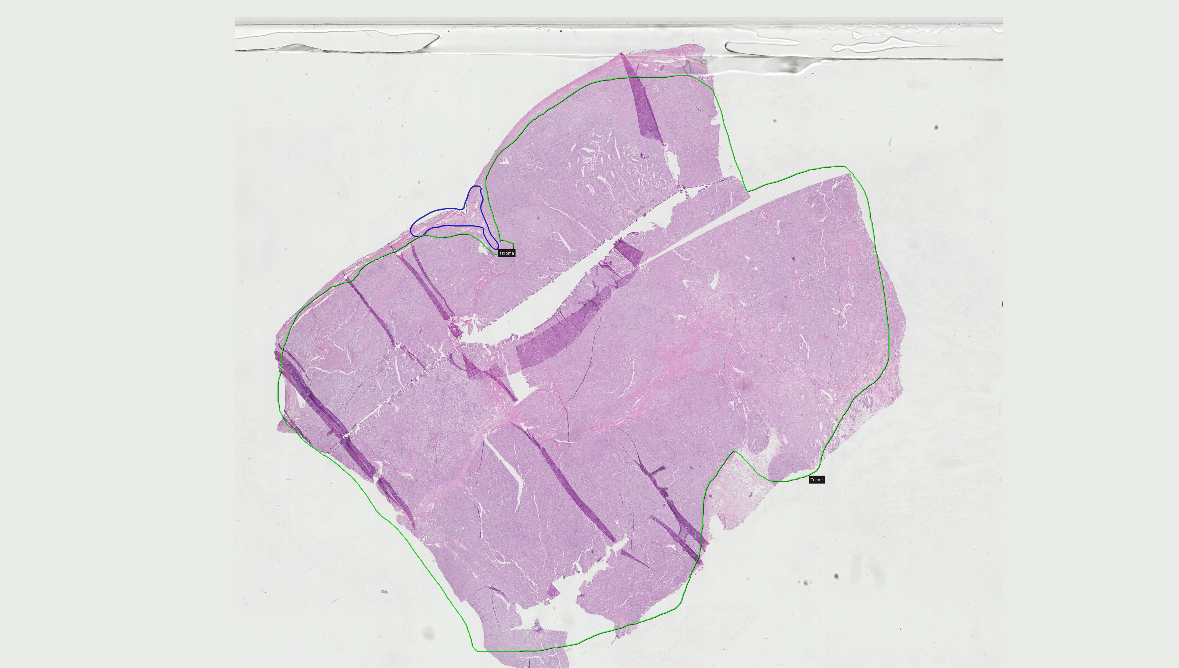 Object Preview