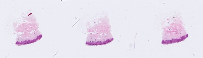 Object Preview