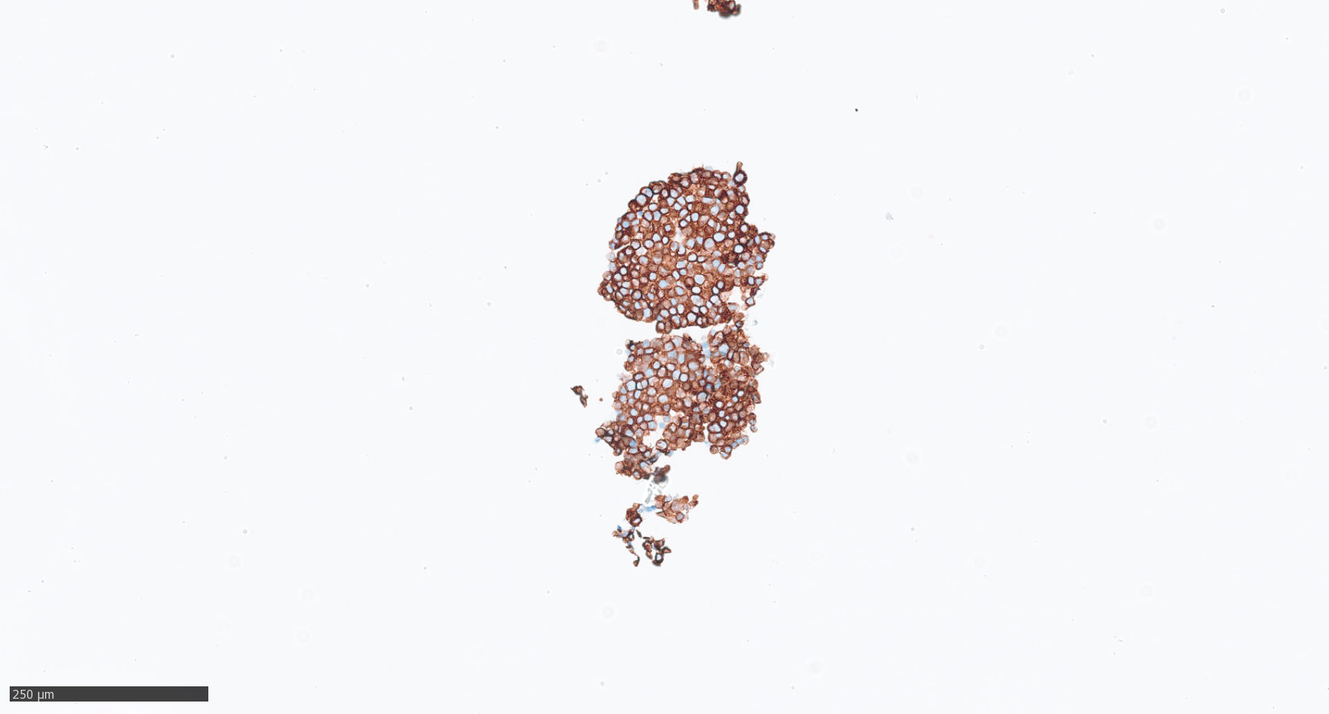 Object Preview