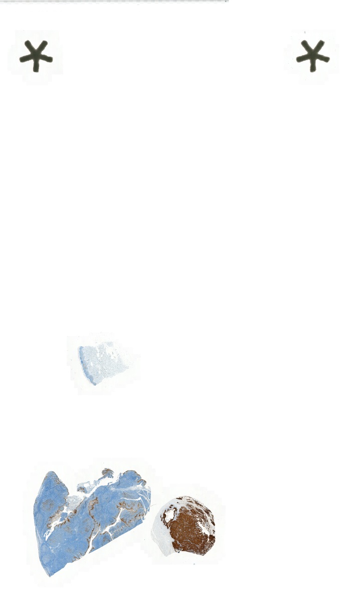 Object Preview