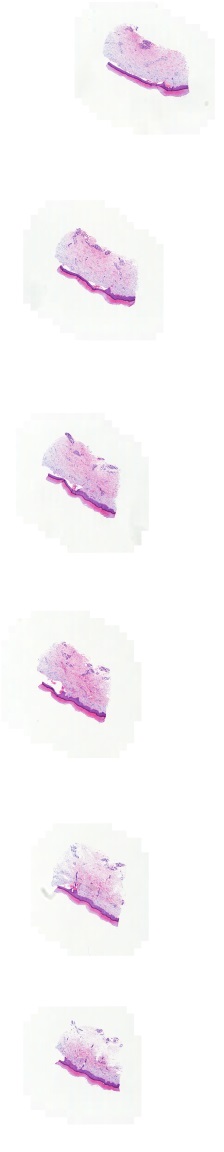 Object Preview