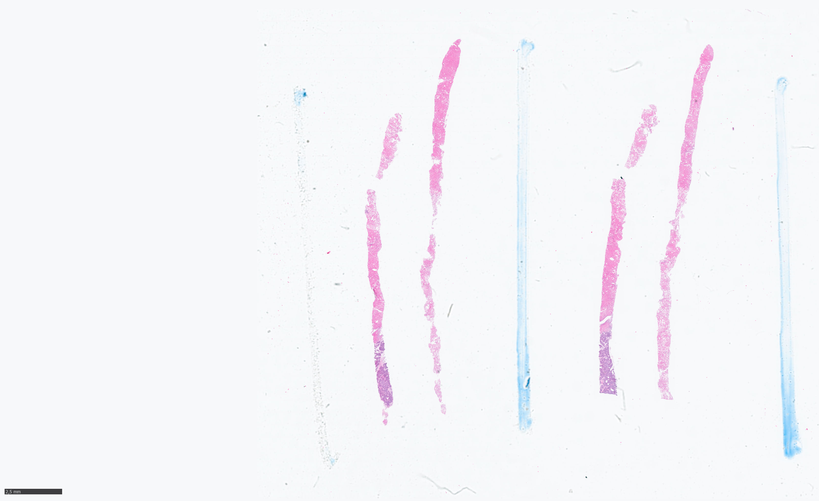 Object Preview