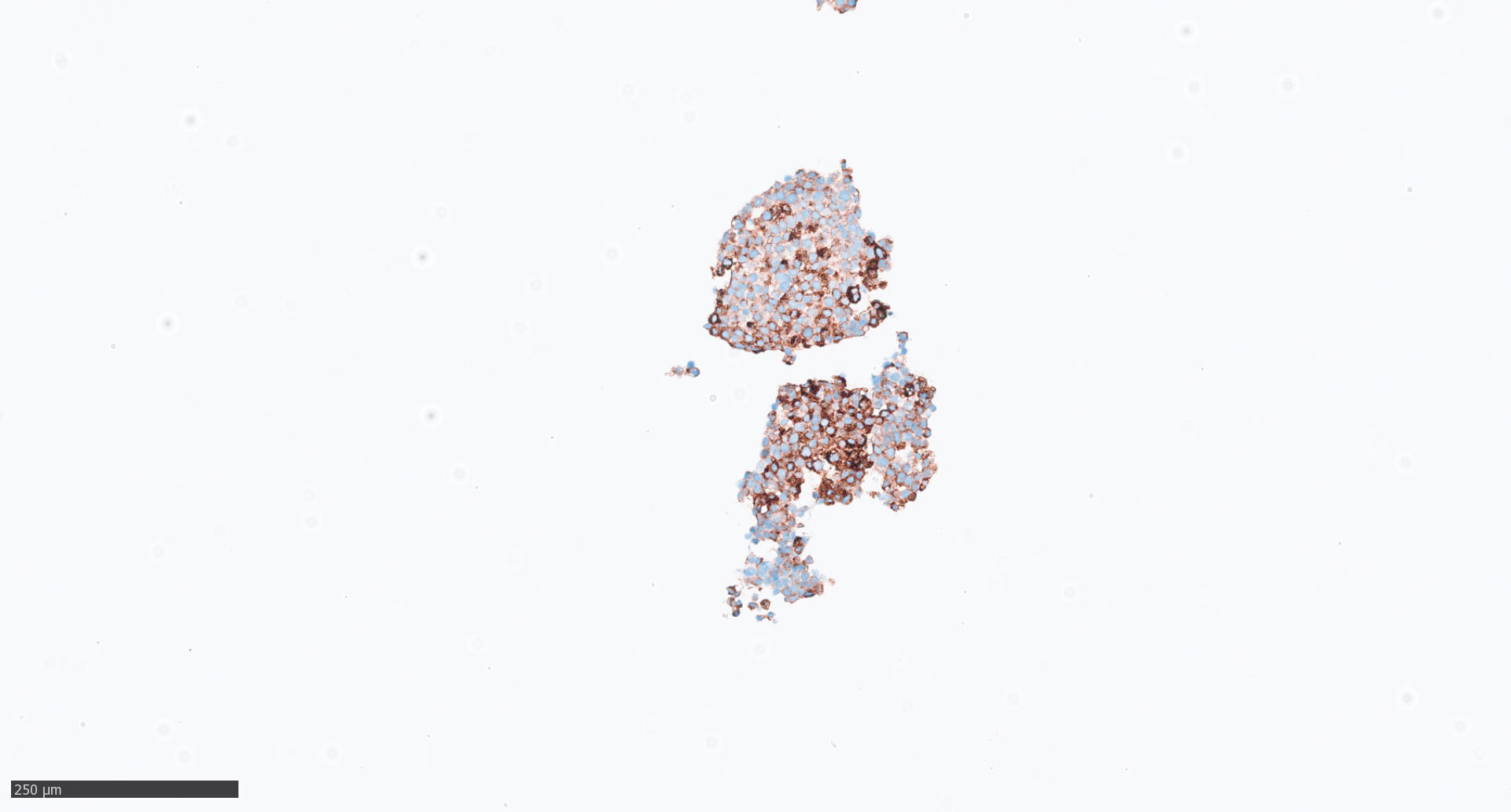 Object Preview